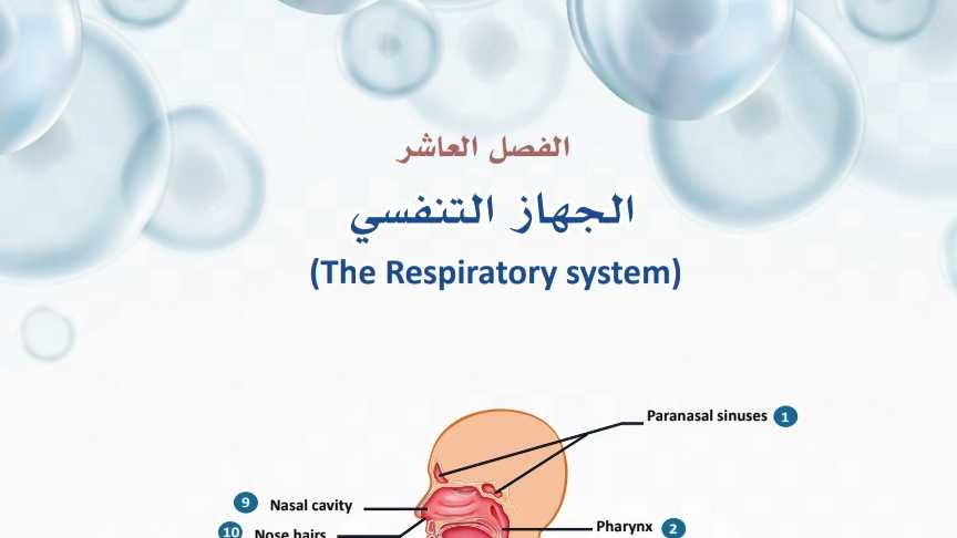 حل الفصل العاشر الجهاز التنفسي ثالث ثانوي مسارات ف2 1447