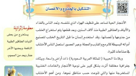شرح درس التشكيل بالجذوع والأغصان سادس ابتدائي ف2