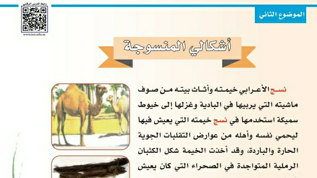 شرح درس أشكالي المنسوجة ثاني ابتدائي ف1