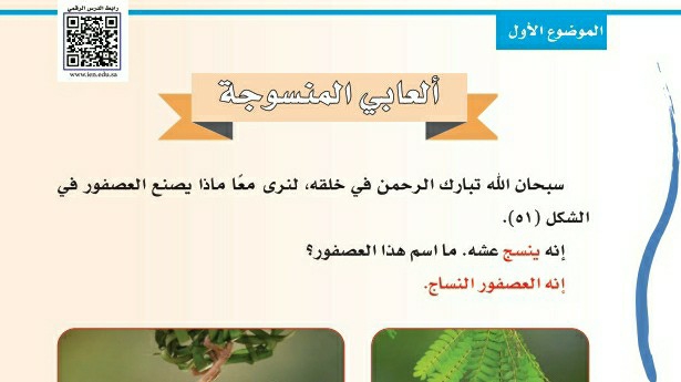 شرح درس ألعابي المنسوجة ثاني ابتدائي ف1