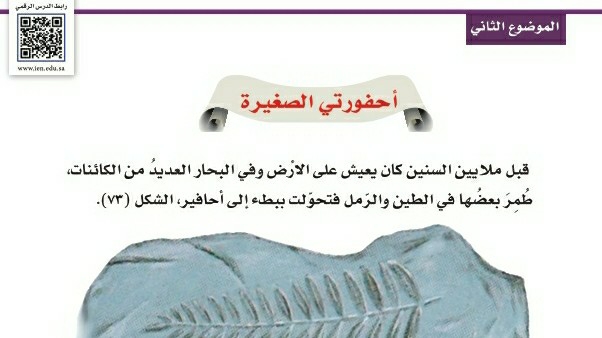شرح درس أحفورتي الصغيرة اول ابتدائي ف1